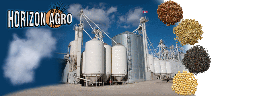Horizon Agro Ltd.